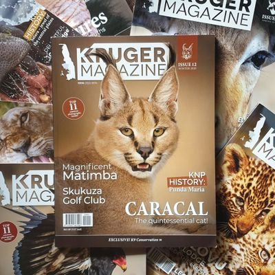 free download safari magazine